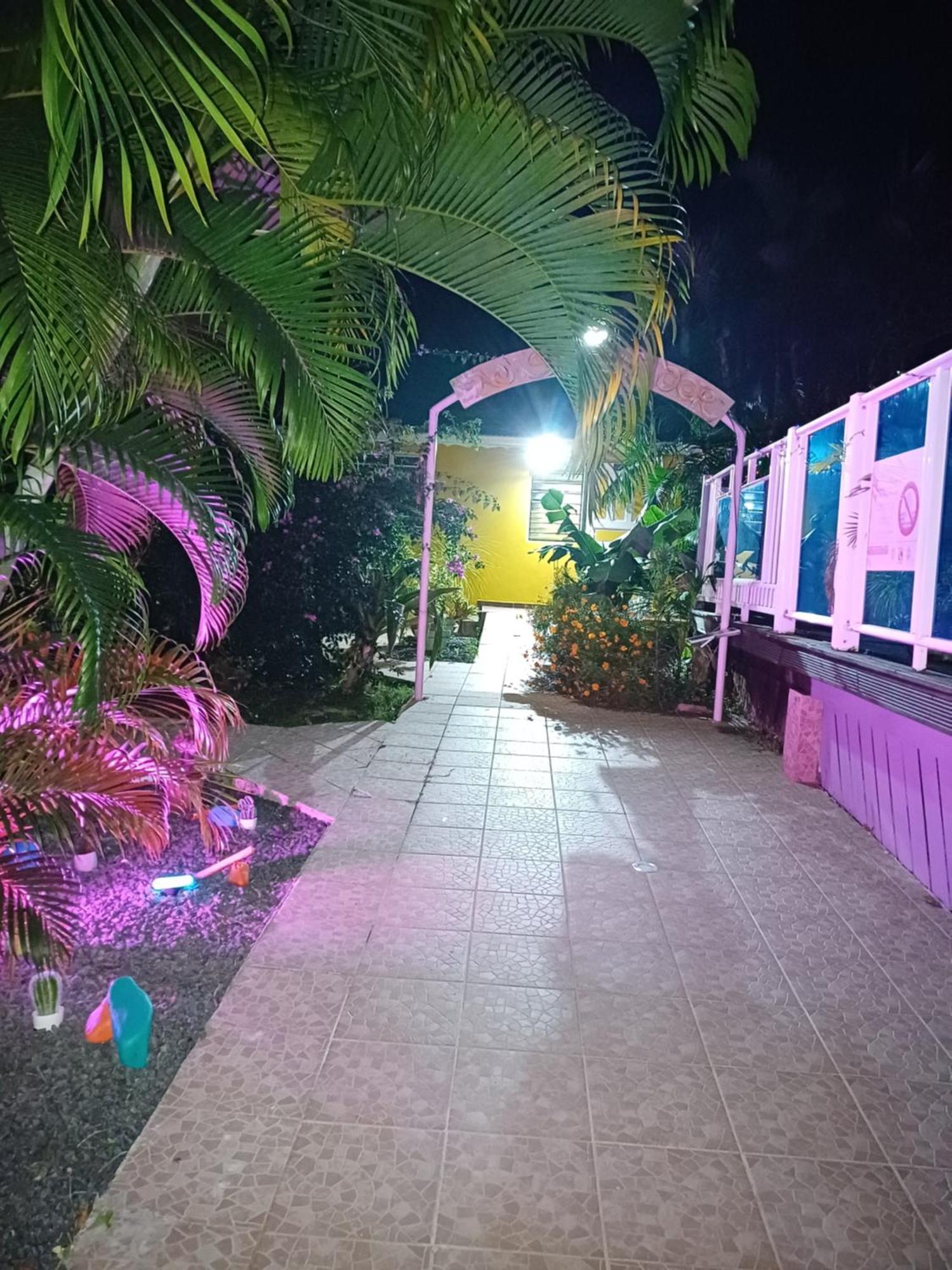דסהייס Au Sable D'Or - Spa - Wifi- Piscine מראה חיצוני תמונה